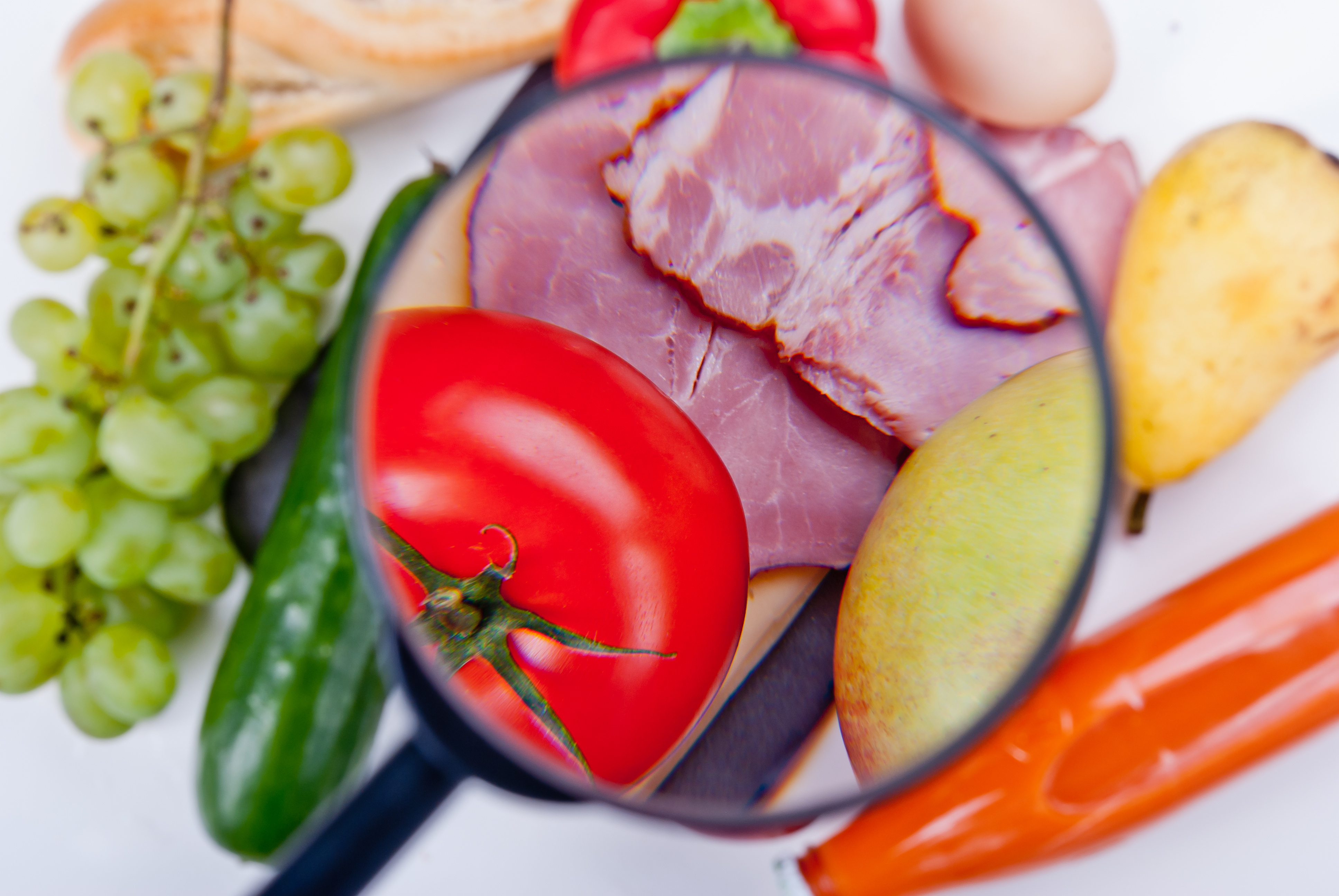 Studio della qualità degli alimenti