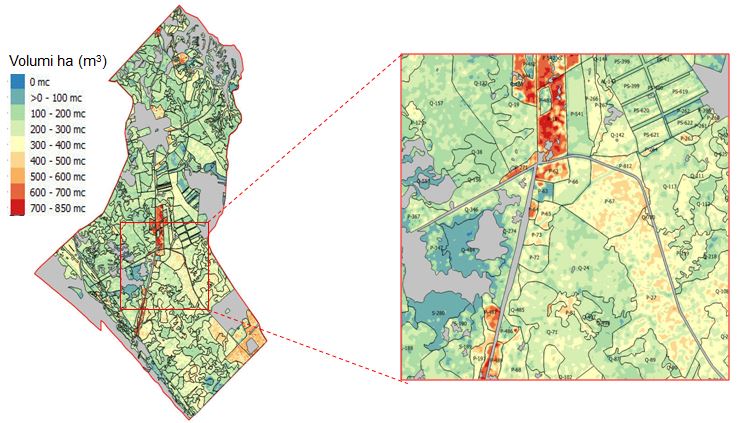 Esempio di mappe raster del volume legnoso (a) e della biomassa epigea (b) di tratti di foresta