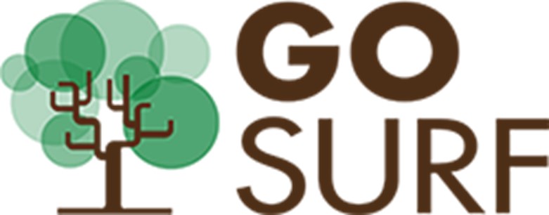 Geomatica, telerilevamento e precision forestry