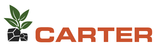 Progetto Carter - Biochar e nuove superfici forestali: binomio vincente per la conservazione e sequestro del carbonio nel terreno