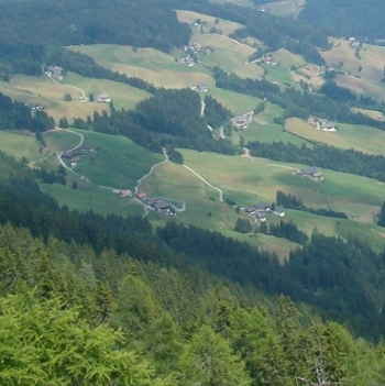 Gestione forestale sostenibile