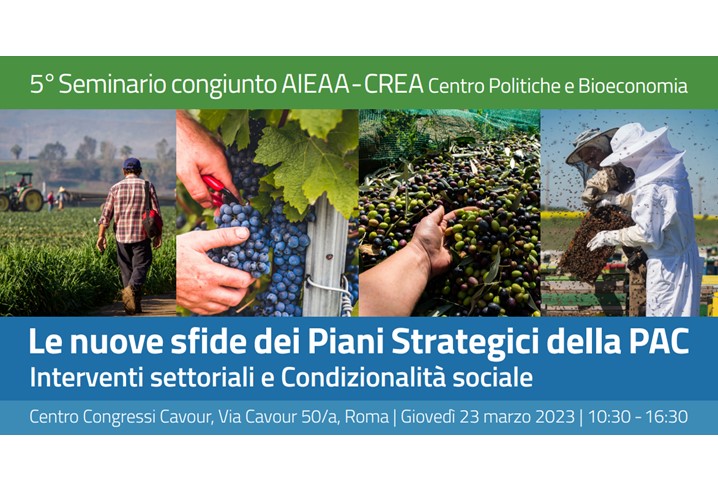 5&deg; Seminario AIEAA-CREA "Le nuove sfide dei Piani Strategici della PAC. Interventi settoriali e Condizionalit&agrave; sociale"
