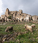 Aree rurali e studi territoriali