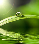 L'uso delle risorse naturali