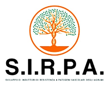 Progetto S.I.R.P.A. Sviluppo di Induttori di Resistenza a Patogeni vascolari degli Agrumi