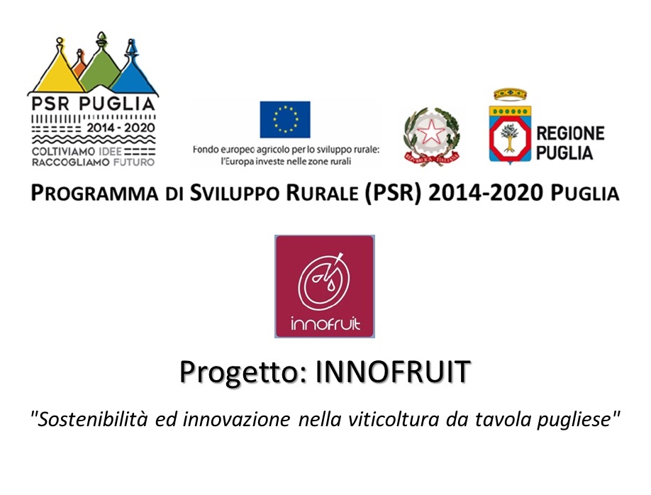PROGETTO PSR INNOFRUIT - REGIONE PUGLIA