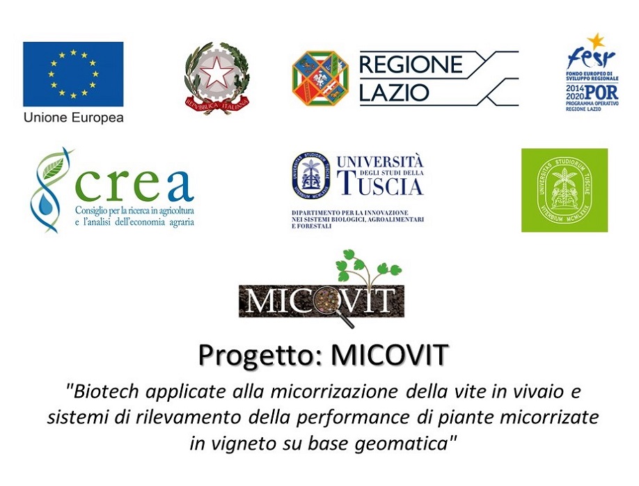 PROGETTO POR - MICOVIT