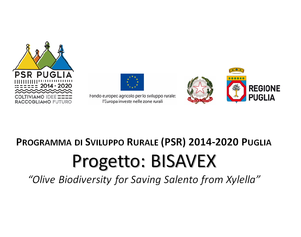 PROGETTO PSR BIOSAVEX - REGIONE PUGLIA
