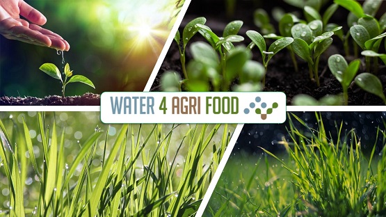 Aridocoltura 2.0: Workshop al CREA Agricoltura e Ambiente di Bari