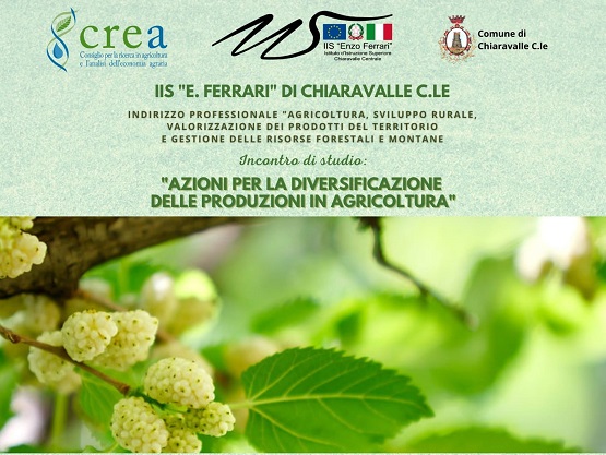 Gelsibachicoltura: Azioni per la diversificazione delle produzioni in agricoltura
