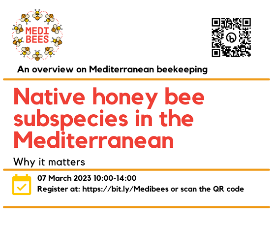 Evento online: “Native honey bee subspecies in Mediterranean apiculture: Why it matters”