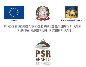GRUPPO OPERATIVO PEI-AGRI “SERINNOVATION”