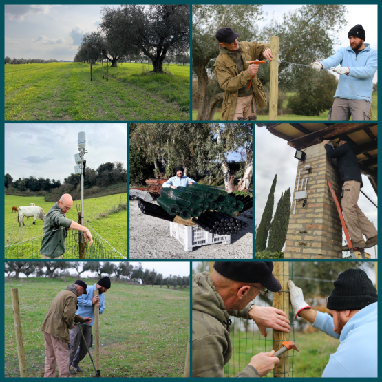 Emissioni in agricoltura: al via le attivit&agrave; in campo del Progetto SENSE