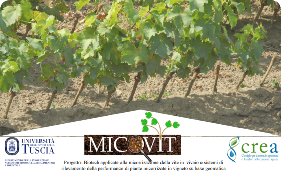 Evento conclusivo del progetto MICOVIT: Innovazione dal suolo del vigneto. Nuove prospettive di impiego delle micorrize in vivaio e in campo