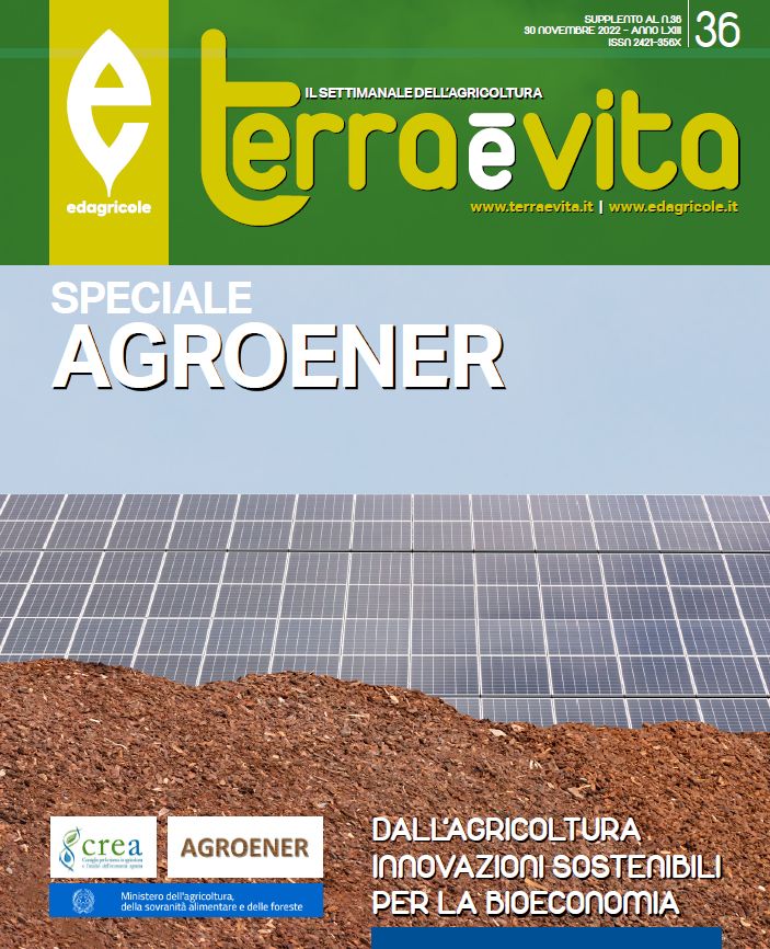Agrobioenergie: on line lo Special Issue di &ldquo;Terra &egrave; Vita&rdquo;