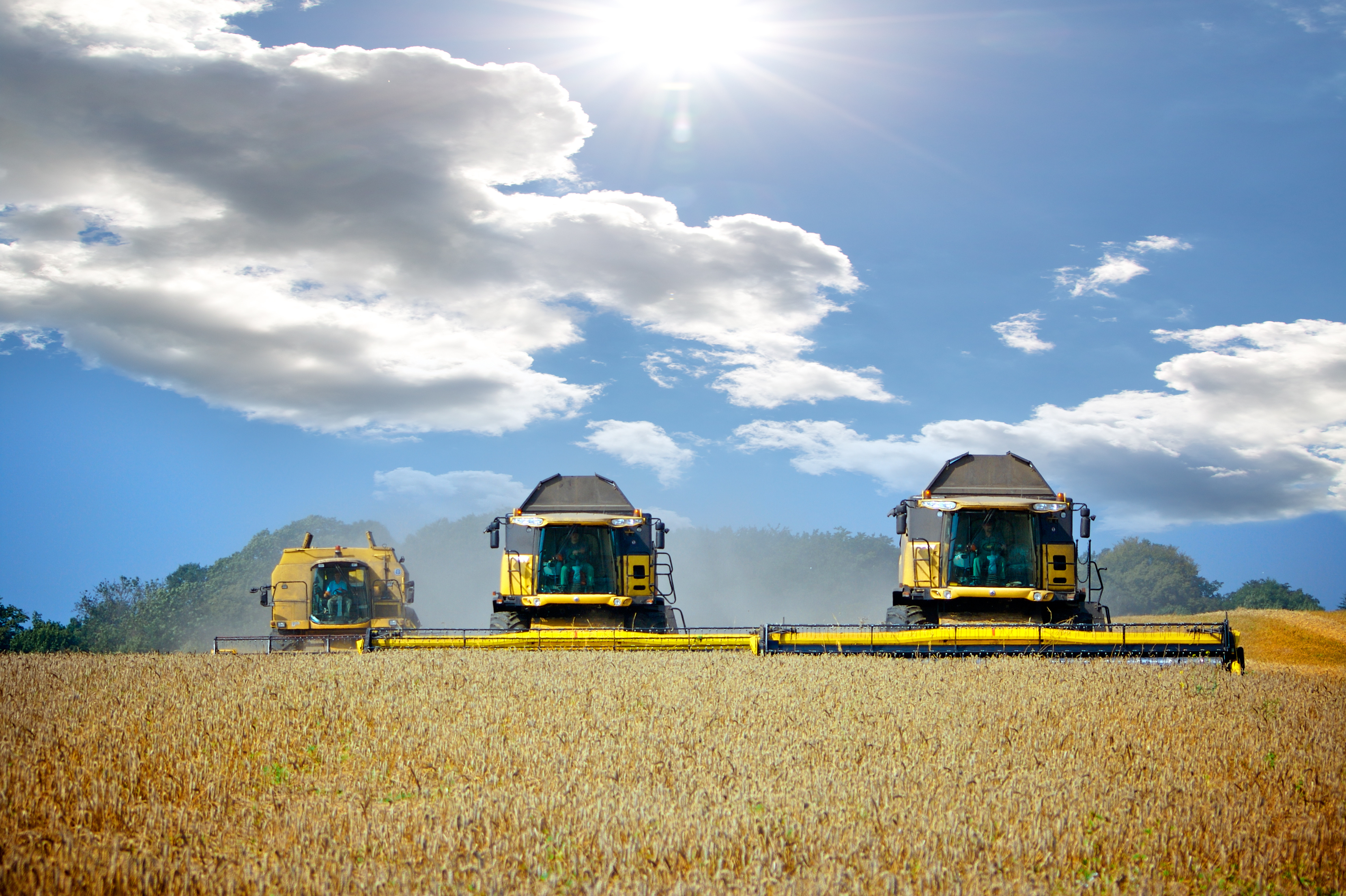 Ingegneria e Trasformazioni Agroalimentari