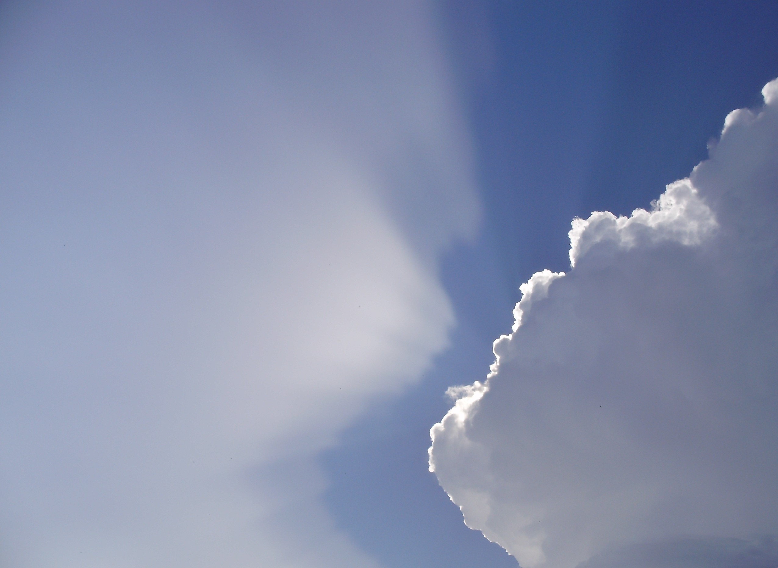 Cambiamenti climatici