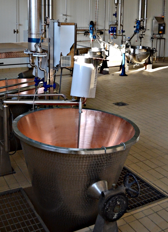 Food microbiology and dairy technology, (Lodi)