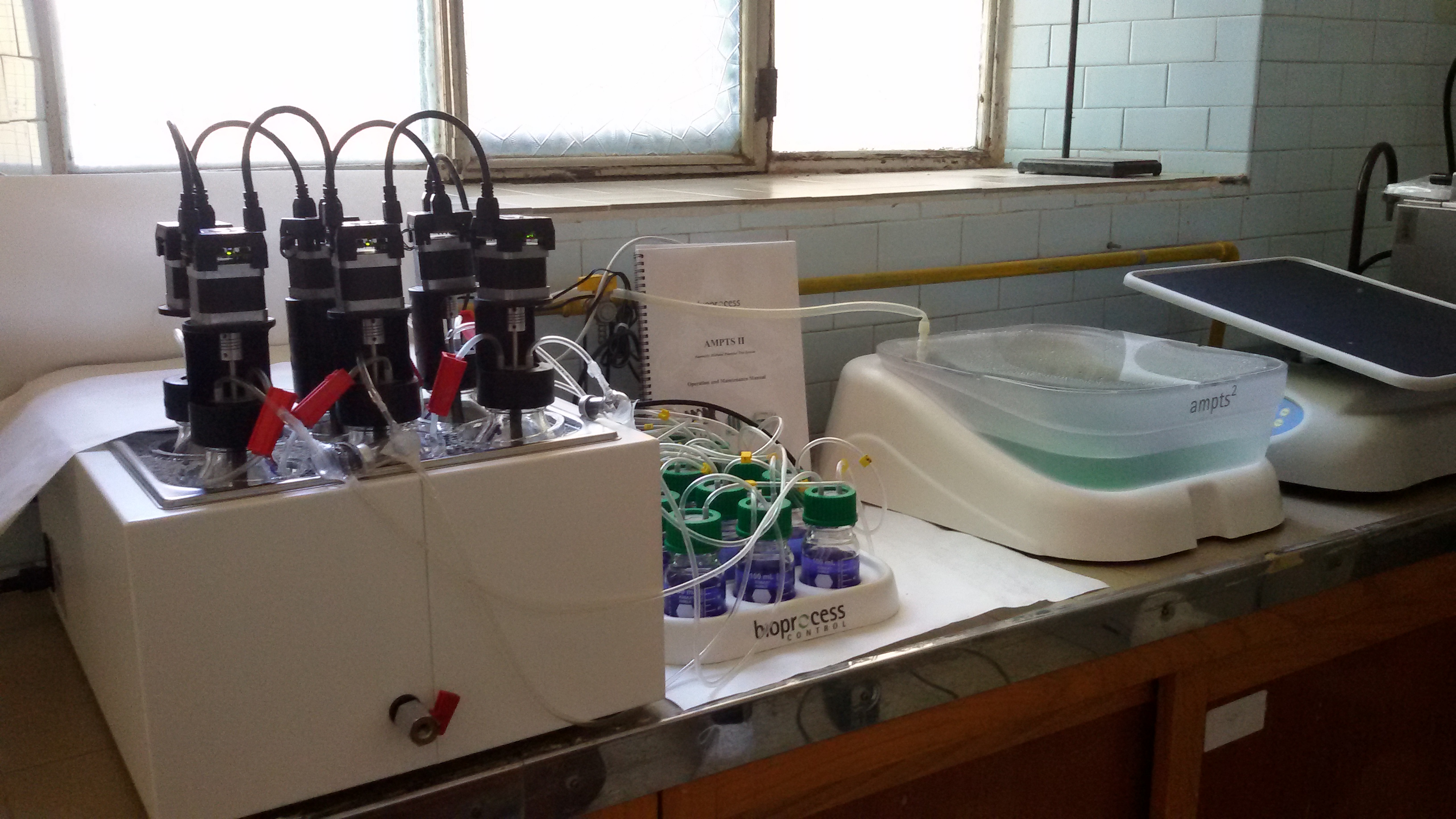 Anaerobic microbiology (Monterotondo)