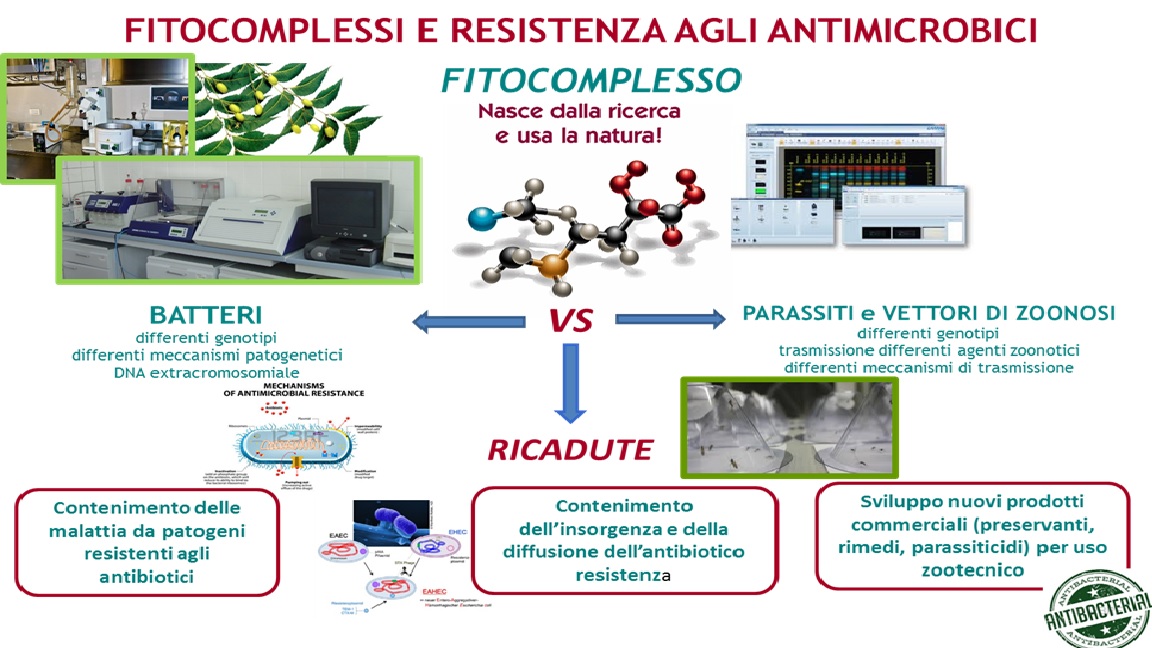 Phytoextracts and antimicrobial resistance (Monterotondo)