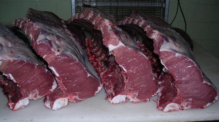 Food quality (milk and meat) (Monterotondo)