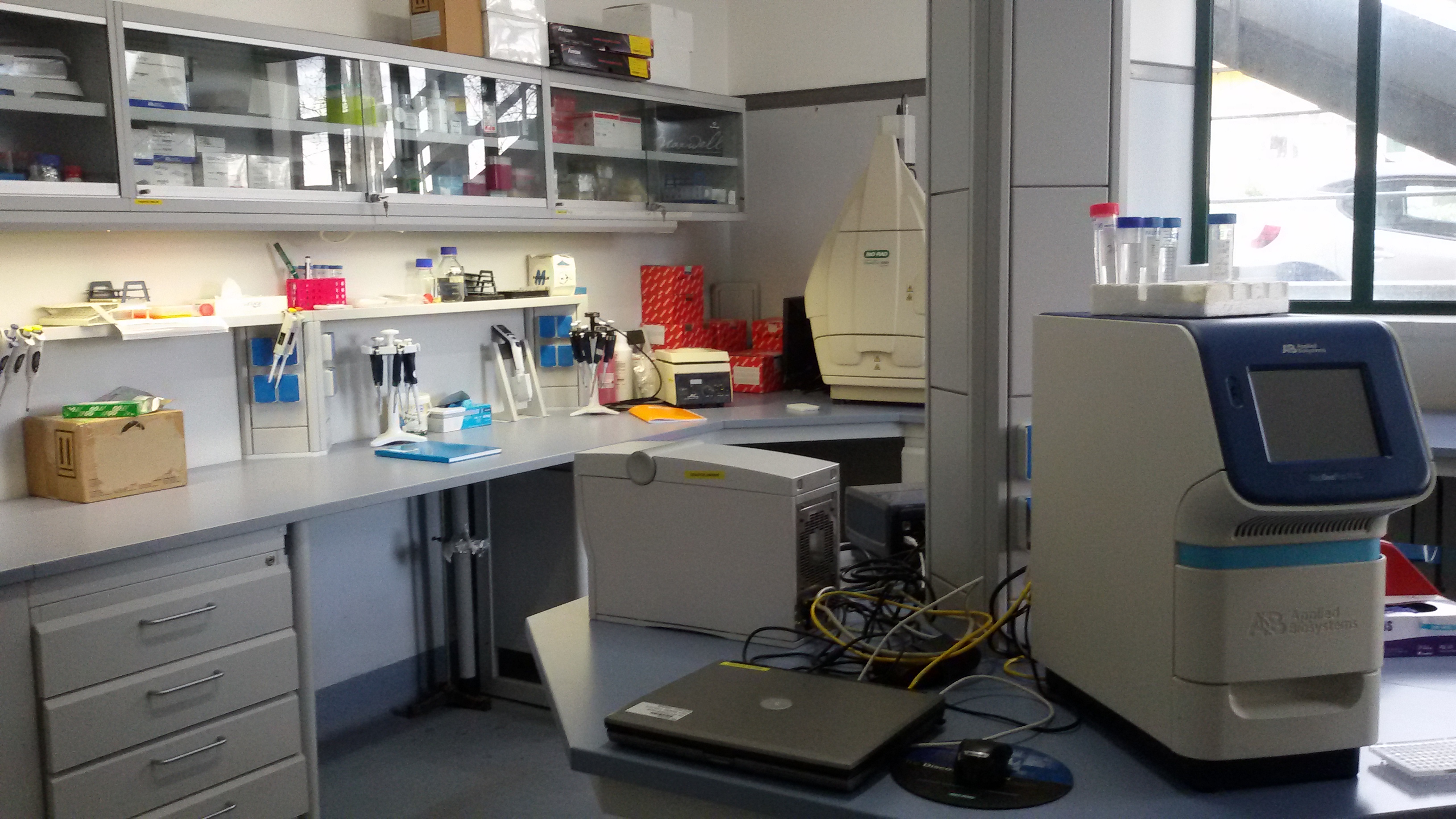 Genetics, genomics, transcriptomics (Montrotondo)