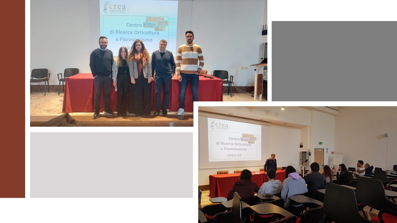 Studenti dell'Università Federico II in visita al CREA Orticoltura e Florovivaismo di Pontecagnano