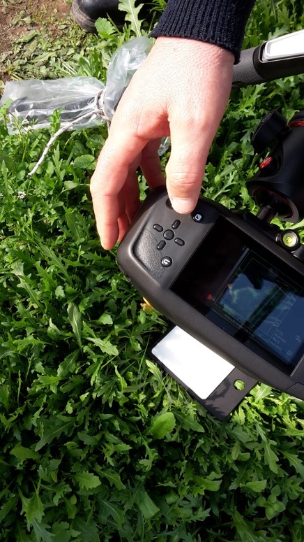 Innovazione agronomica