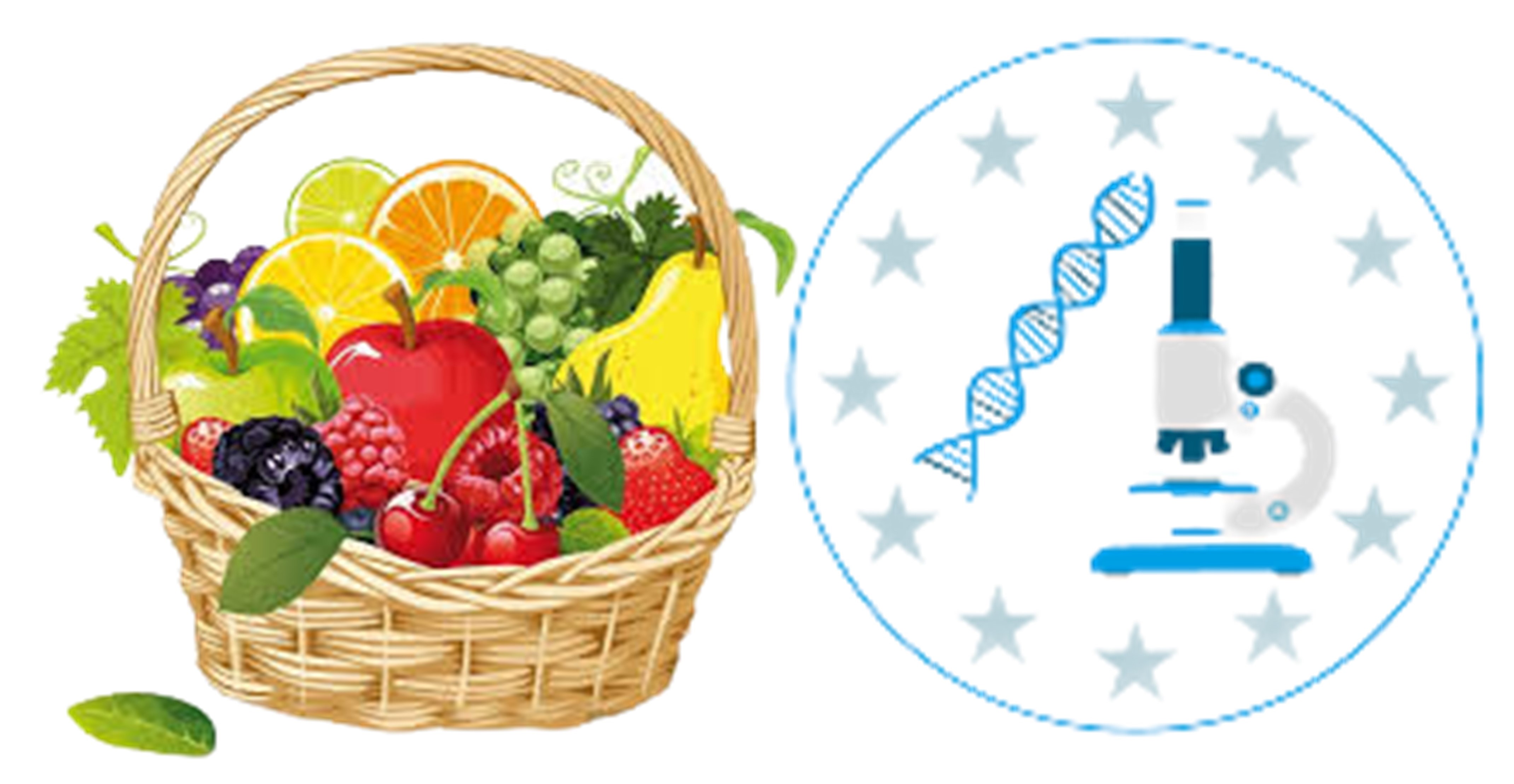 Il ruolo dell’Italia nell’utilizzo delle Tecnologie di Evoluzione Assistita in frutticoltura